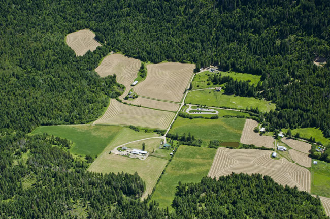 commercial photo 017