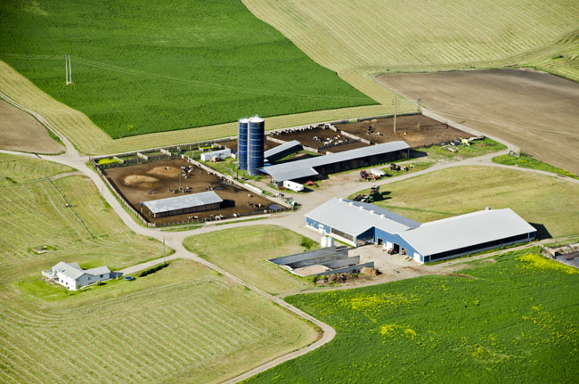 commercial photo 021