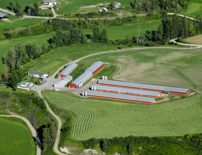 commercial photo 022