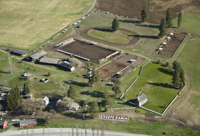 commercial photo 034